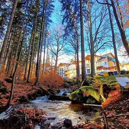 Apartamenty Nad Zlotym Potokiem Szklarska Poręba Esterno foto